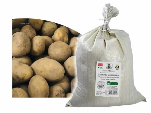 1sa.jpg